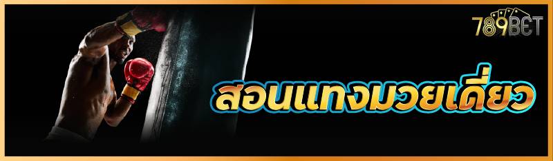 สอนแทงมวยเดี่ยว