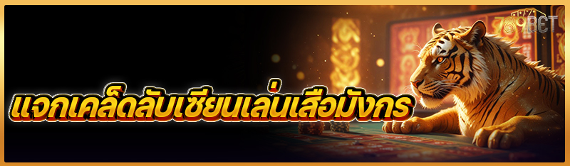 แจกเคล็ดลับเซียนเล่นเสือมังกร  