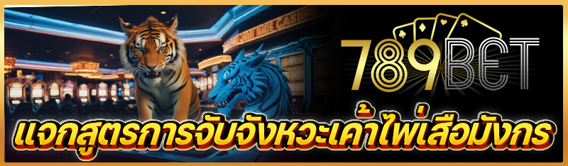 แจกสูตรการจับจังหวะเค้าไพ่เสือมังกร